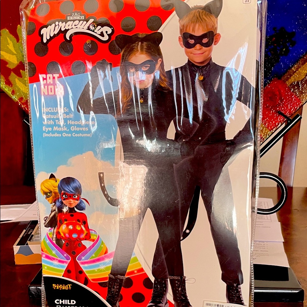 Miraculous Cat Noir Halloween costumes. Brand new. Never worn.